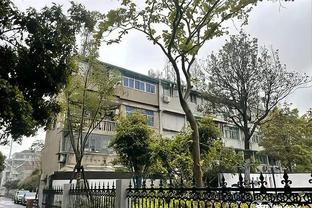 库明加：我向教练建议了我+维金斯的双前锋阵容